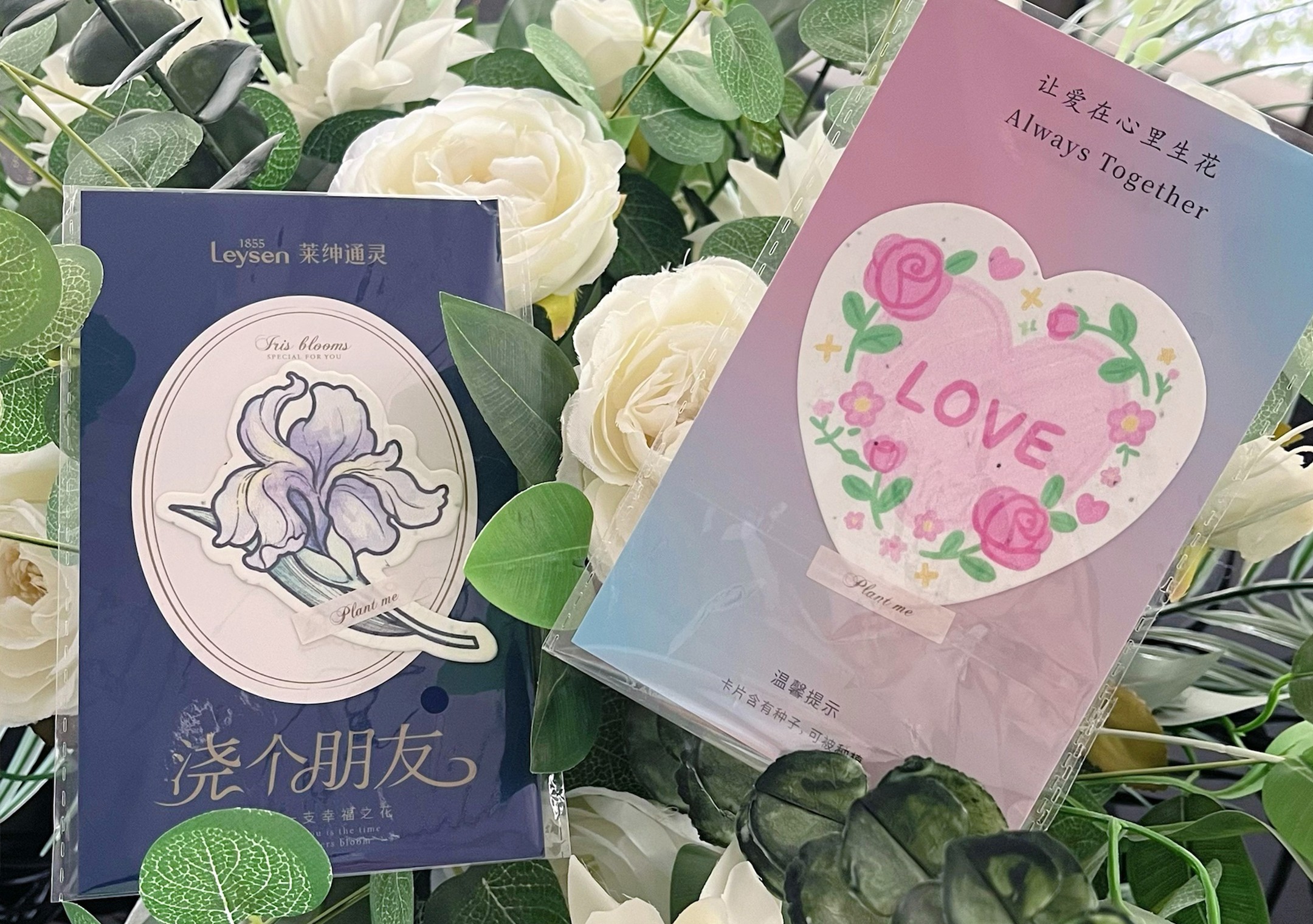 圖片關鍵詞